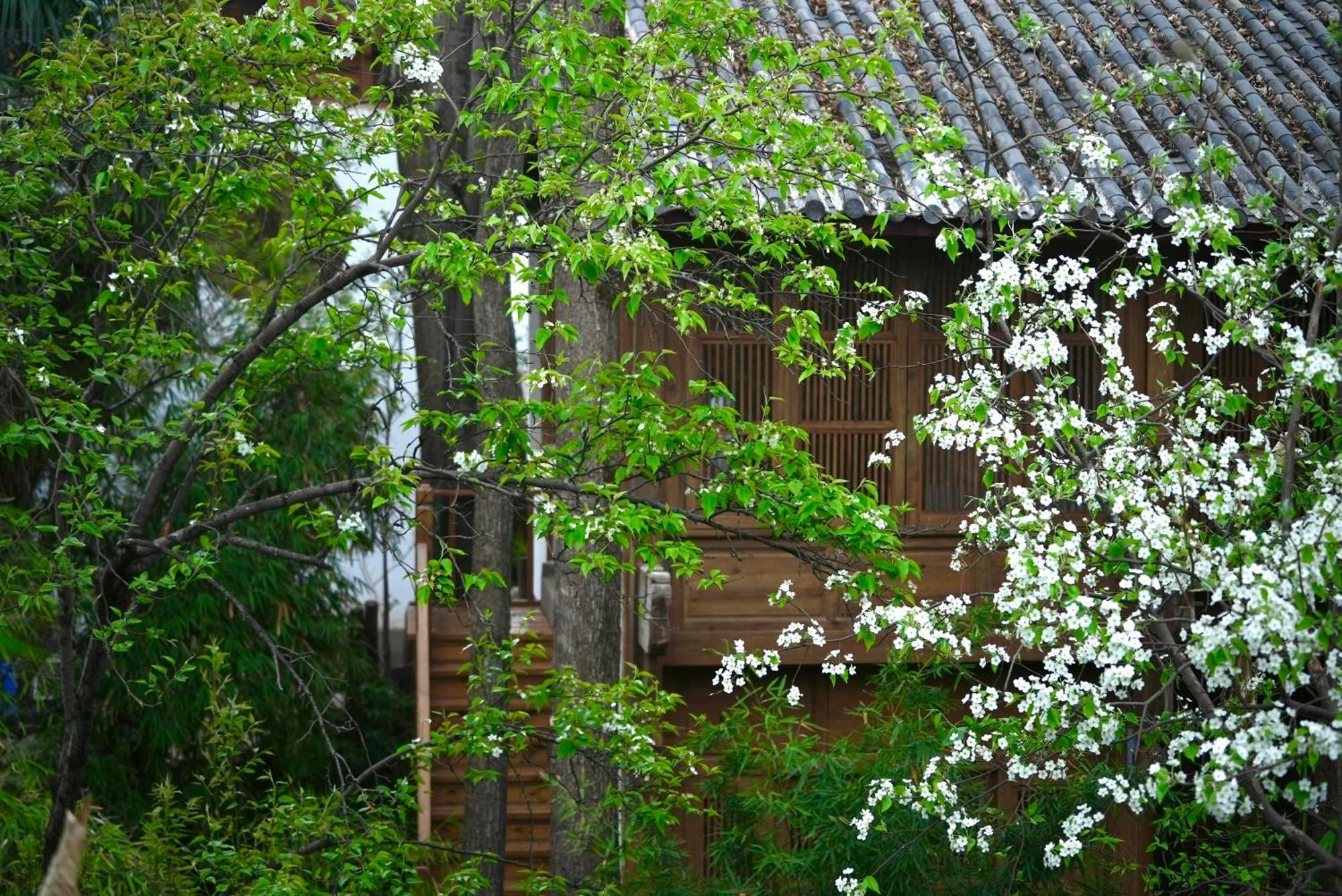Apartament 吾爱堂 Lijiang  Zewnętrze zdjęcie