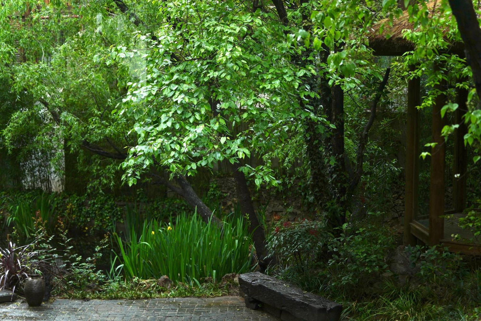 Apartament 吾爱堂 Lijiang  Zewnętrze zdjęcie