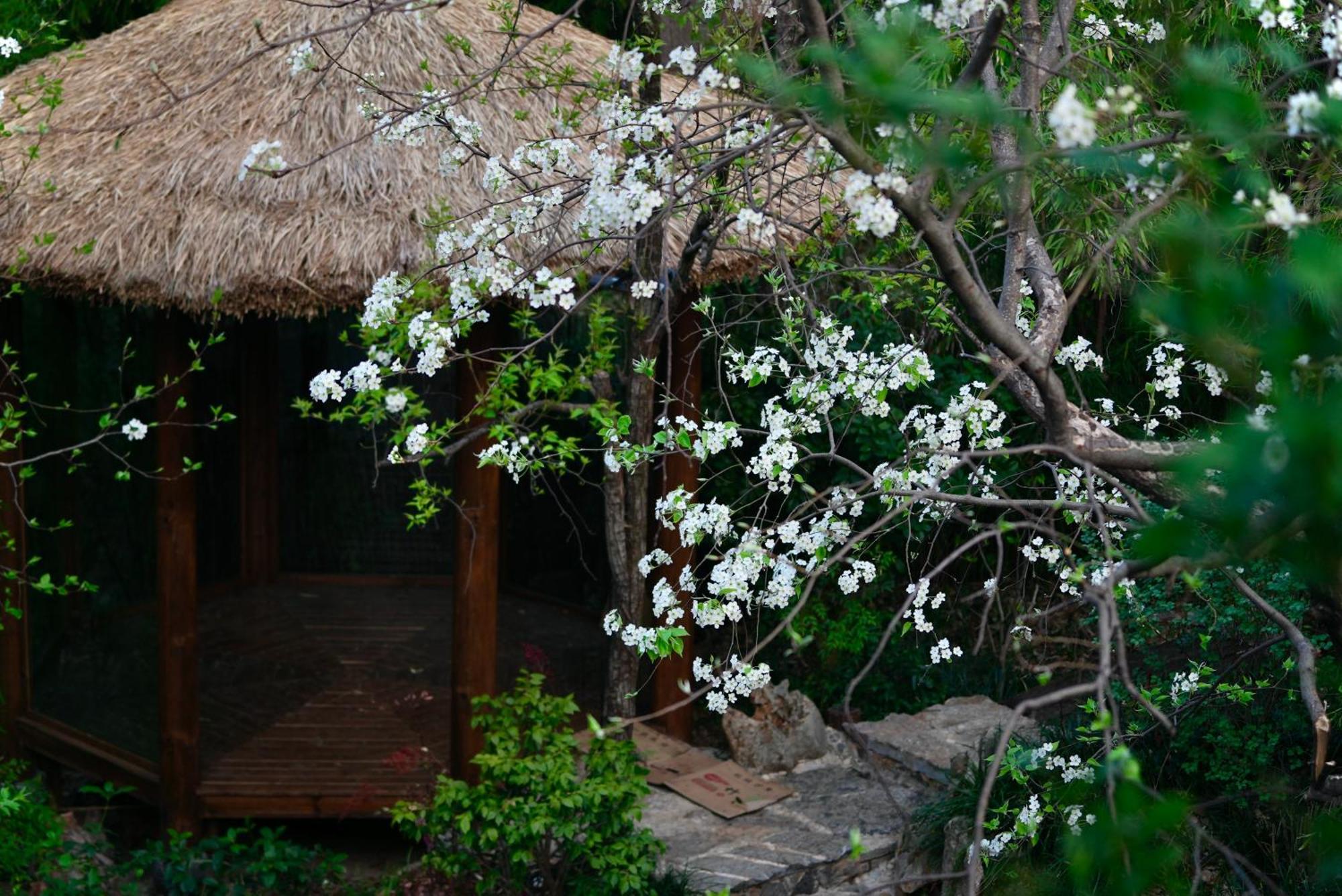 Apartament 吾爱堂 Lijiang  Zewnętrze zdjęcie