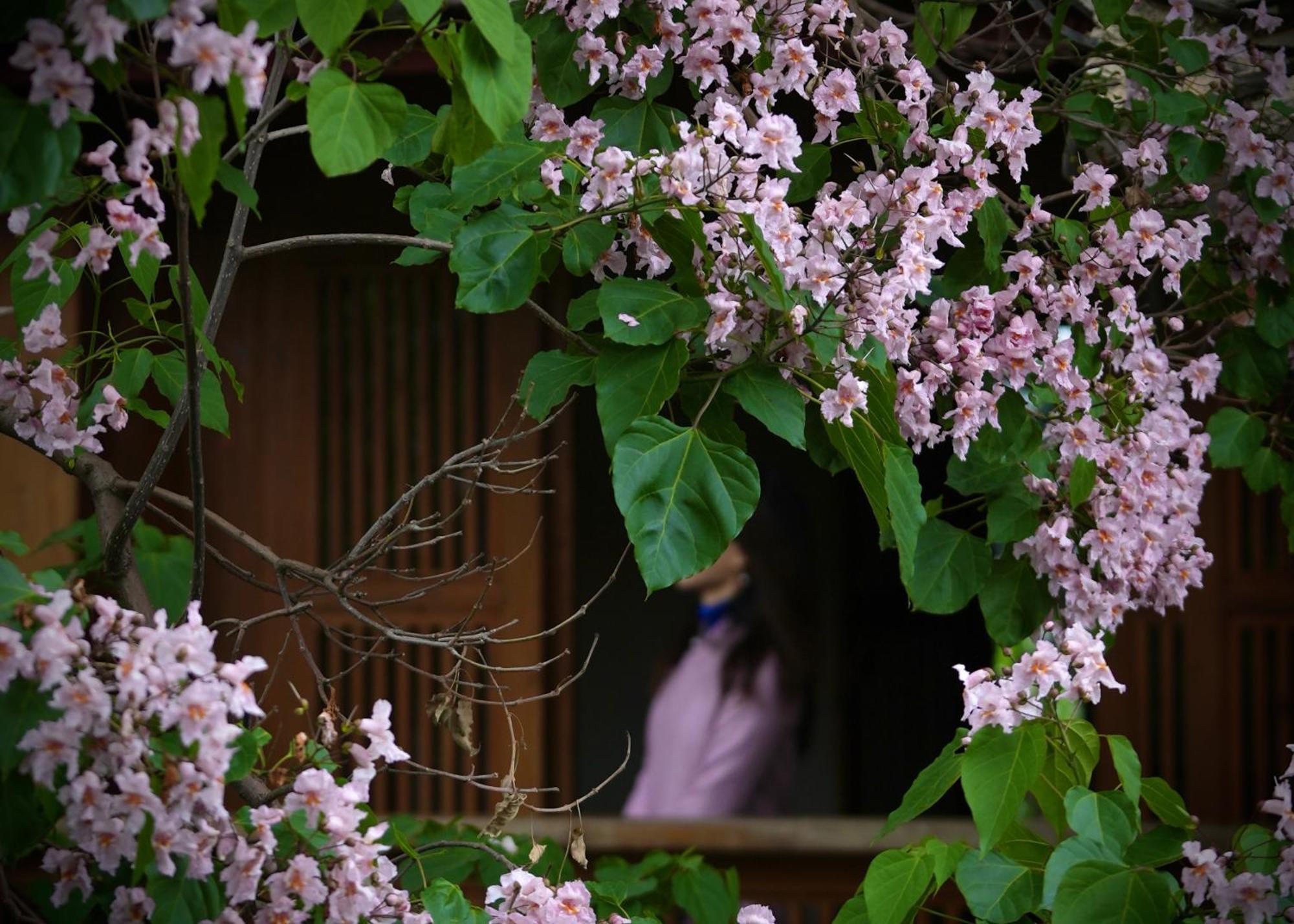 Apartament 吾爱堂 Lijiang  Zewnętrze zdjęcie